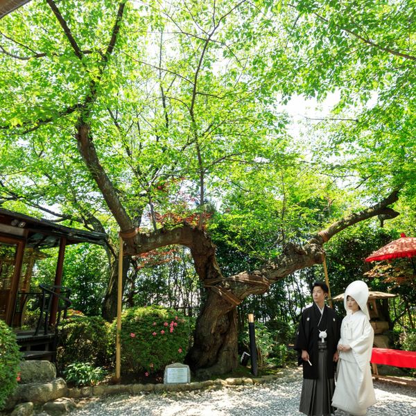 和の情緒と異国文化が交差する、唯一無二の異人館ウェディング。