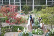 BOTANICA WEDDING