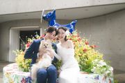 SUNSET BEACH PARK WEDDING（稲毛海浜公園）