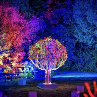 ★ご成約特典★【BOTANICA LIFETIME FREE PASS】プレゼント
