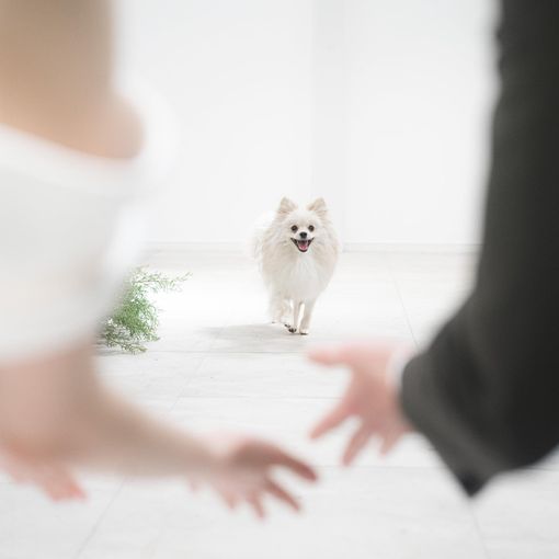 BOTANICA WEDDINGの結婚式の公式写真（4枚目）