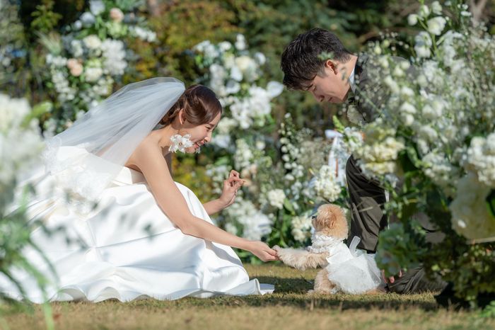 家族の一員であるわんちゃんと過ごす、少人数ウェディング