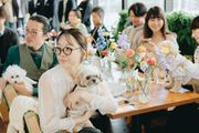 evergreen pet & cafe restaurant