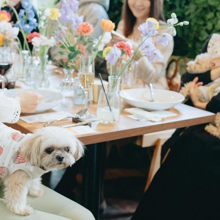 evergreen pet & cafe restaurantの写真(60251678)