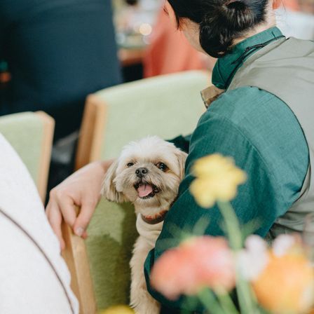 evergreen pet & cafe restaurantの写真(60251898)