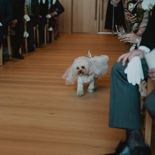 パティーナ大阪の結婚式の公式写真（3枚目）