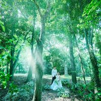 軽井沢 閑聖の杜（KANSEI NO MORI）の結婚式の公式写真