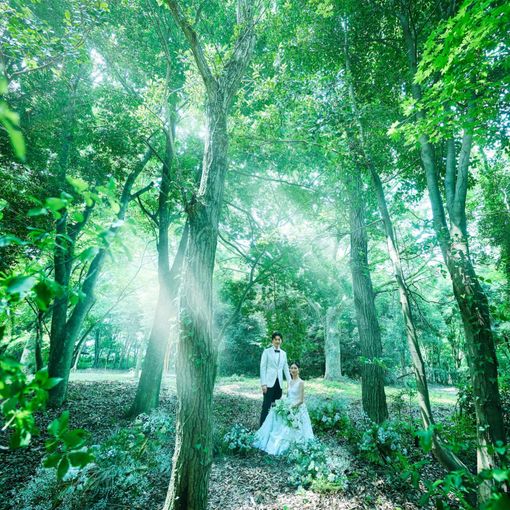 軽井沢 閑聖の杜（KANSEI NO MORI）の結婚式の公式写真（1枚目）