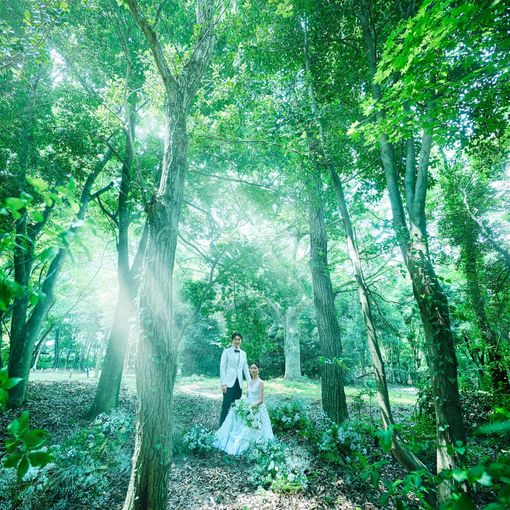 軽井沢 閑聖の杜（KANSEI NO MORI）の結婚式の公式写真（1枚目）