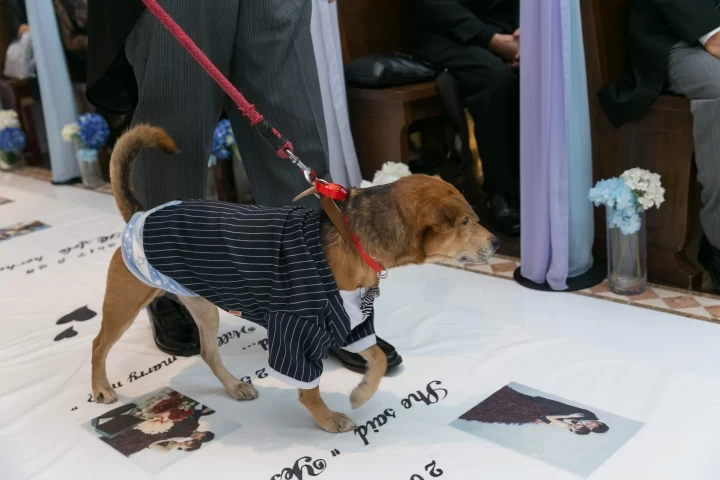 はっちゃんさんのリングピローの写真