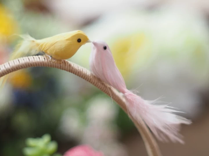 noayukaさんのリングピローの写真