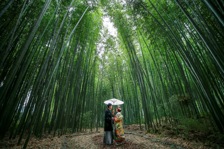 しょこまるさんの前撮りの写真