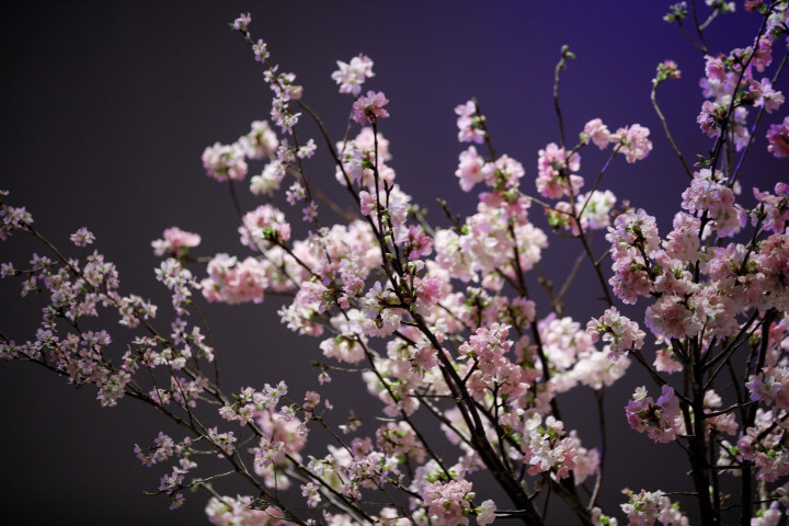 クリスタルさんの装花の写真