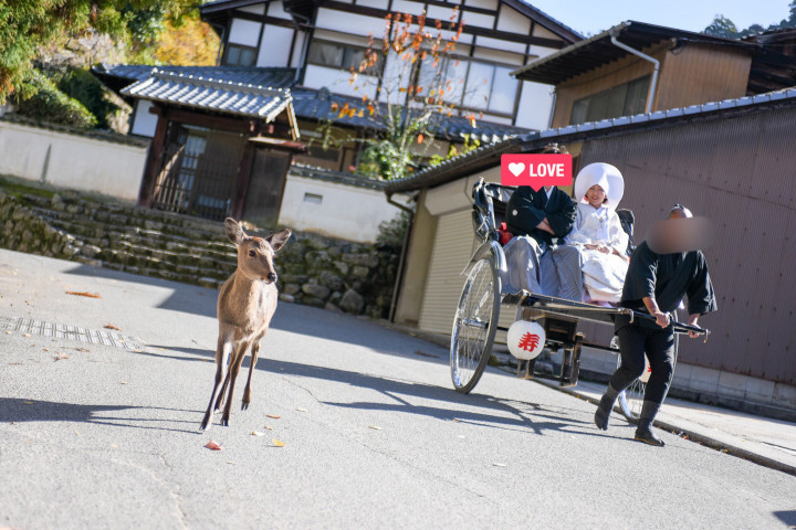 newedding_さんの前撮りの写真