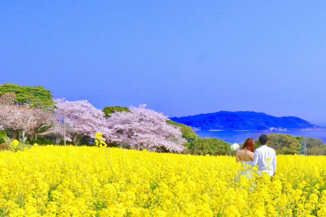 ksweddingさんのセルフ前撮りの写真