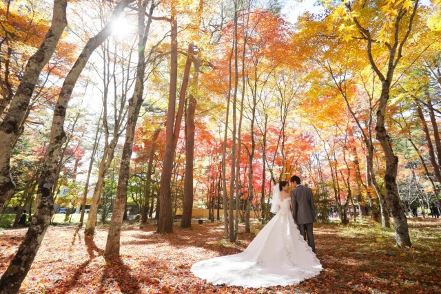 杏さんさんの挙式・披露宴の写真
