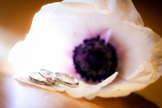 annaさんの結婚指輪の写真