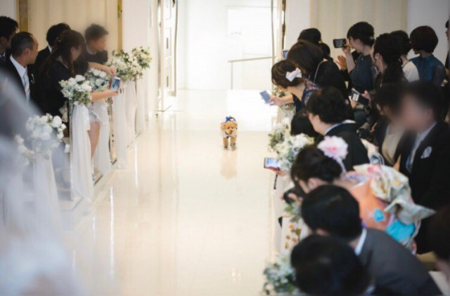 sy_weddingさんの挙式・披露宴の写真