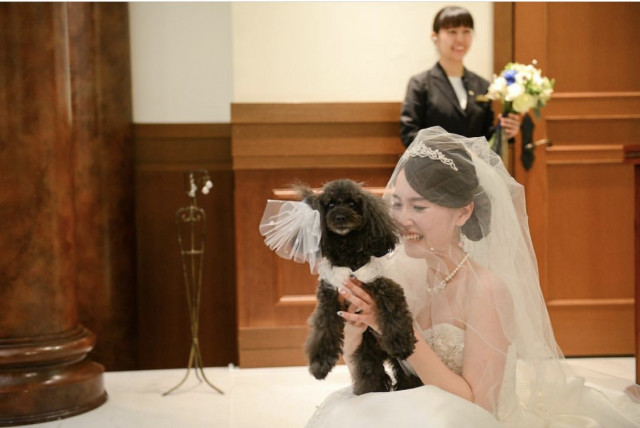 ゆりぐまさんの挙式・披露宴の写真