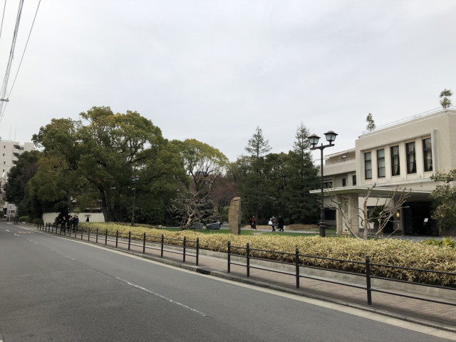 きたちゃんさんの挙式・披露宴の写真