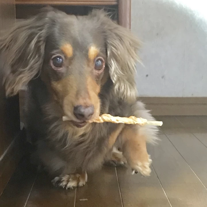 miyuさんのネイルの写真