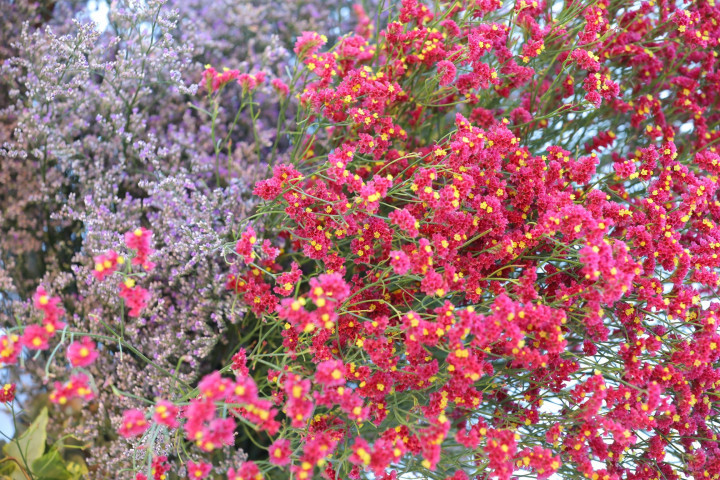 saさんの装花の写真