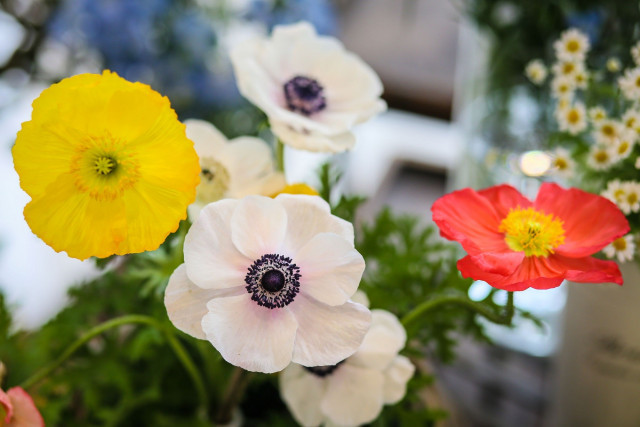 はっしーさんの装花の写真