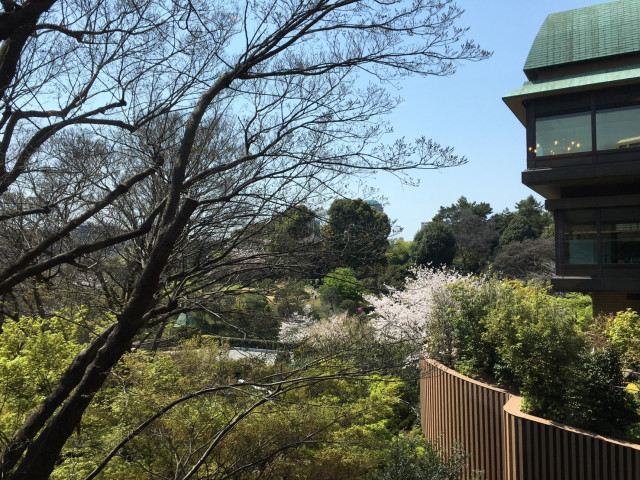 Asukaさんの挙式・披露宴の写真