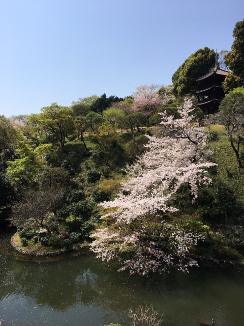 Asukaさんの挙式・披露宴の写真