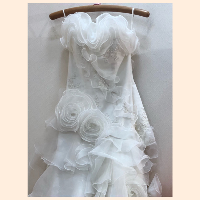宇宙の花嫁さんのウエディングドレスの写真