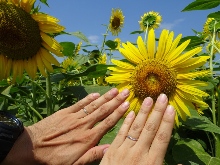 ゆきちさんの結婚指輪の写真