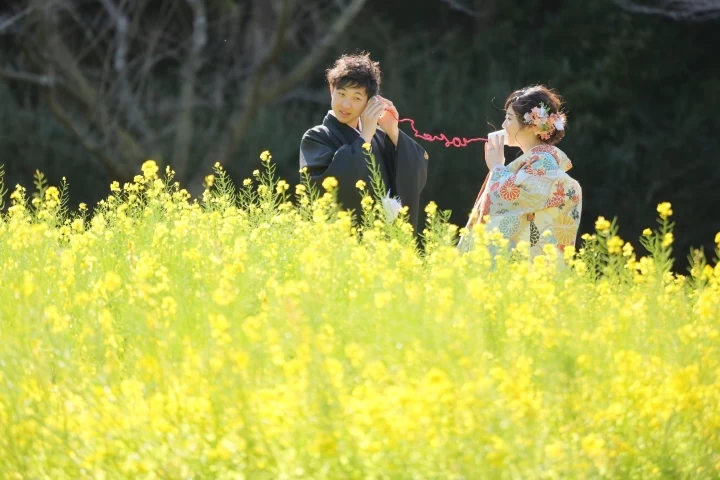 rainさんの前撮りの写真