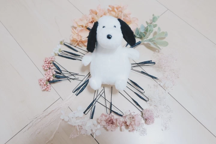 rainさんの前撮りの写真