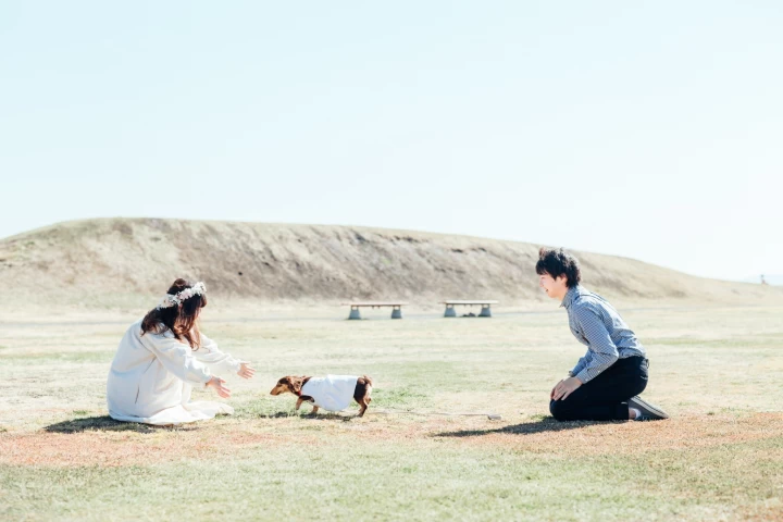 rainさんの前撮りの写真