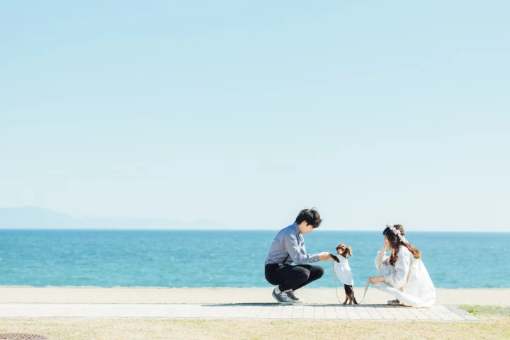 rainさんの前撮りの写真