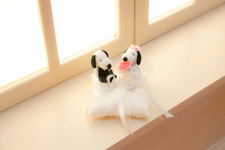 とんちさんのリングピローの写真