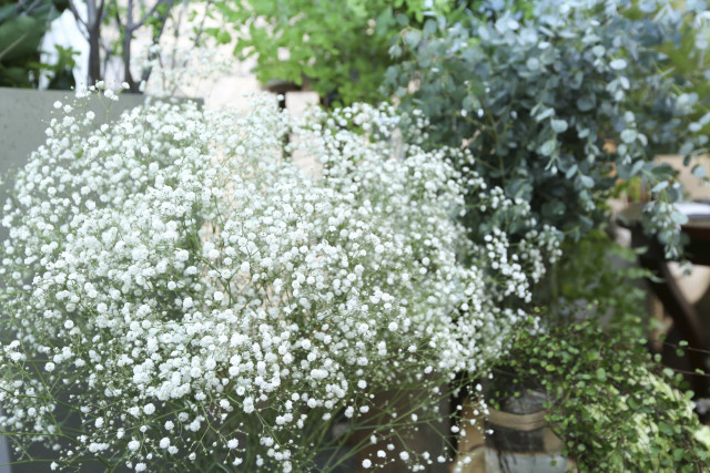 ねぼすけさんの装花の写真