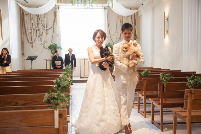 どんちゃんさんの挙式・披露宴の写真