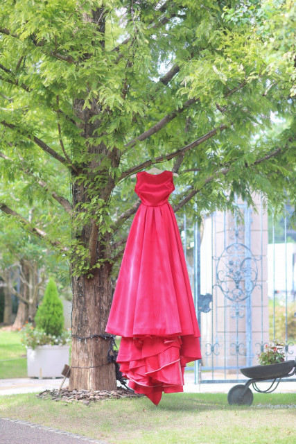 nanaさんのカラードレスの写真