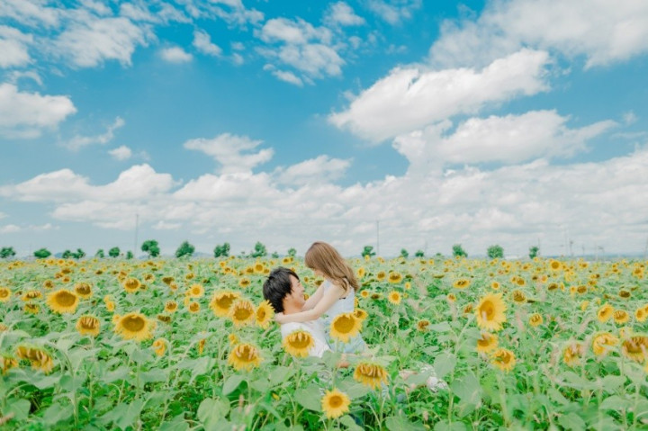 ちぇるさんの前撮りの写真