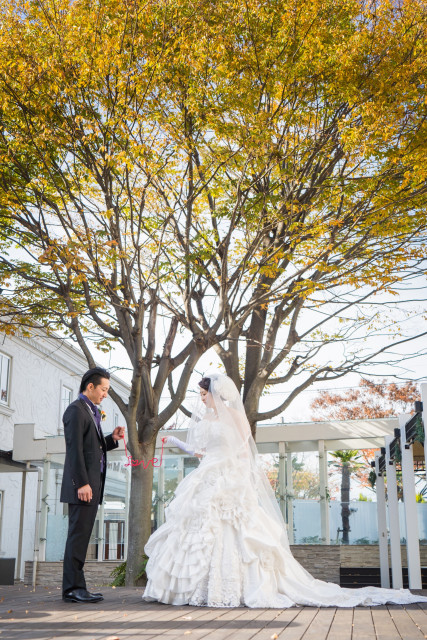 ®️さんのウエディングドレスの写真