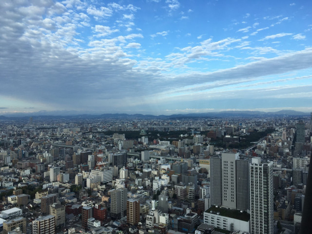 こゆぽんさんの挙式・披露宴の写真