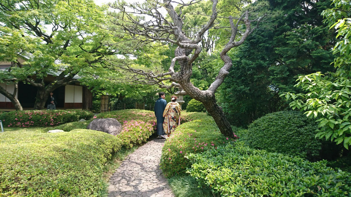 あおいさんの前撮りの写真