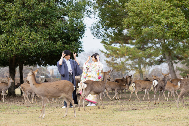 ゆりさんの和装の写真