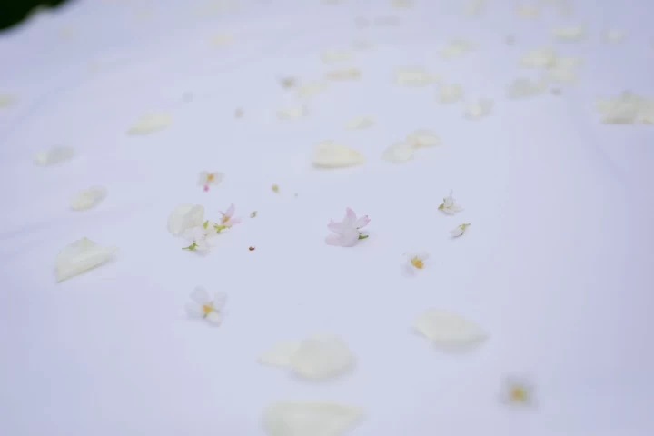 かぴばらさんの装花の写真