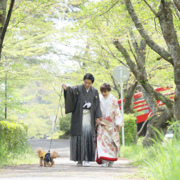 ぽんぽんさんの前撮りの写真