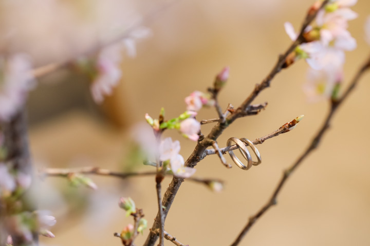 risaさんの結婚指輪の写真