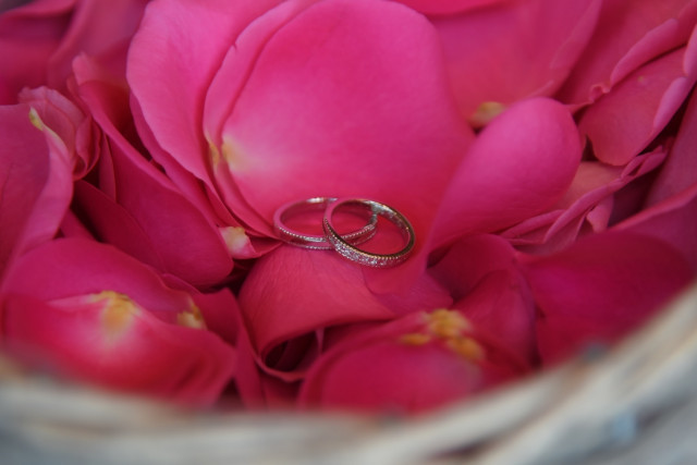 ririsaさんの結婚指輪の写真