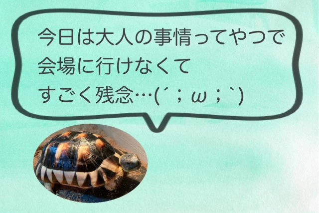 大豆さんのオープニングムービーの写真