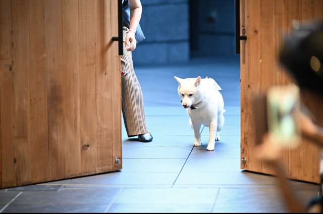 ももばななさんのリングピローの写真